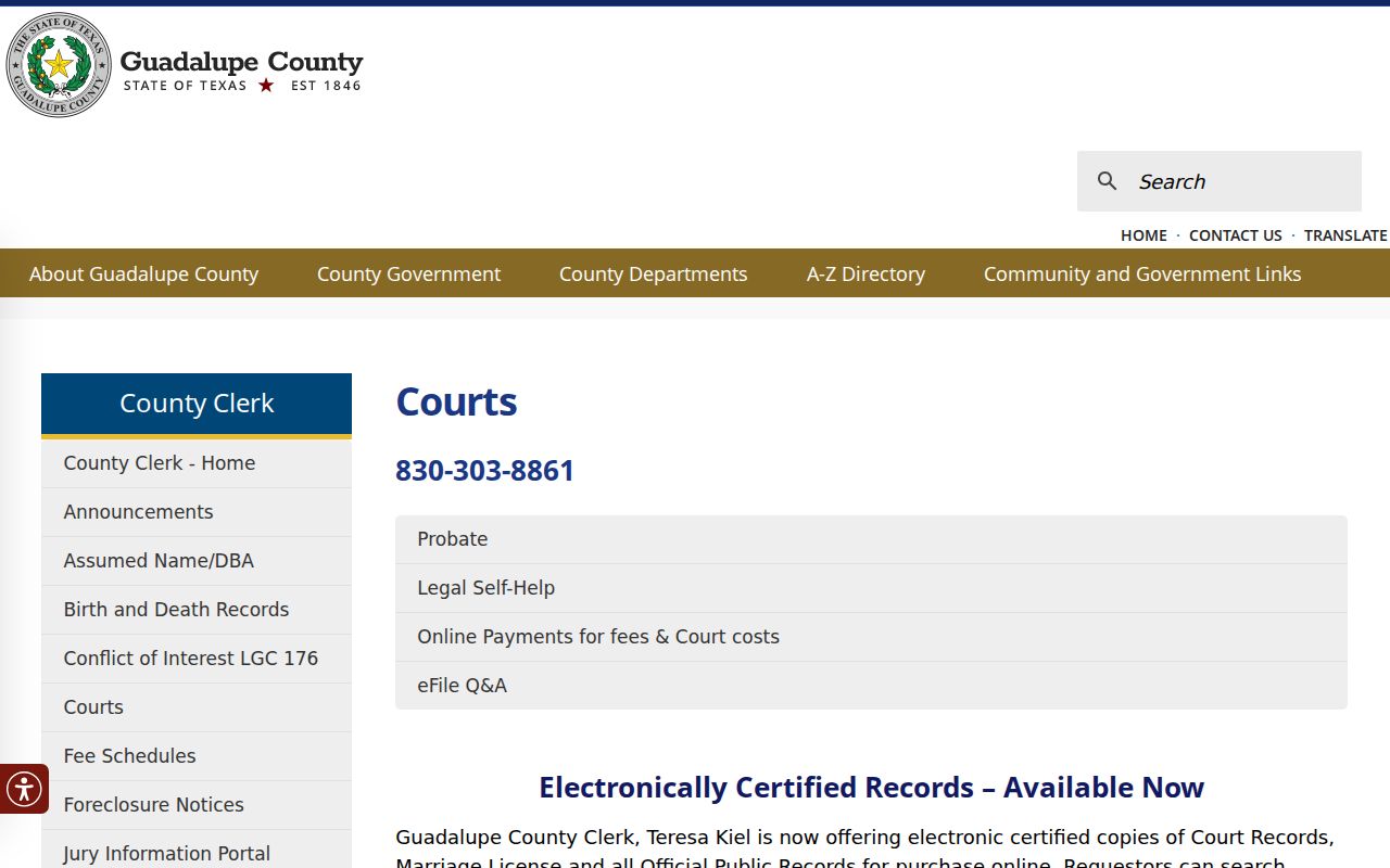 Guadalupe County criminal history County Clerk misdemeanor records